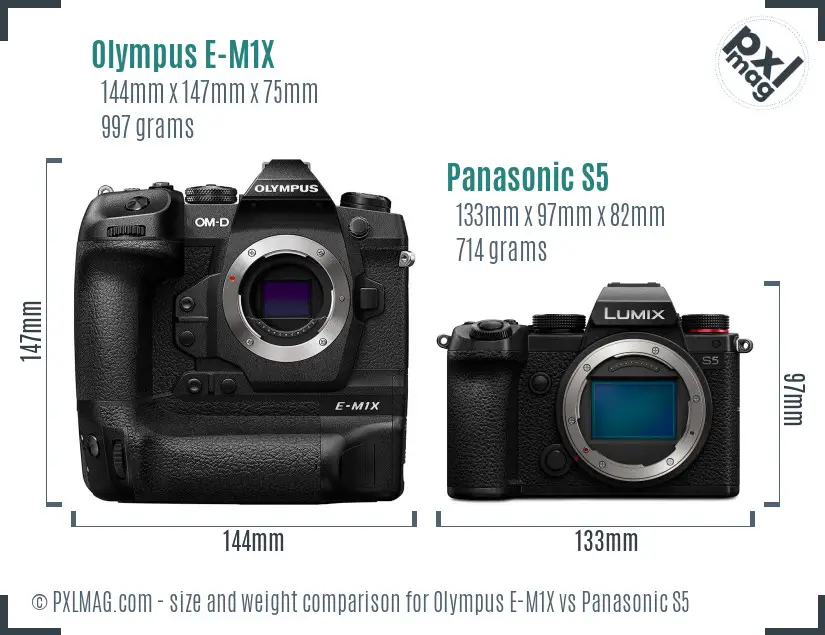 Olympus E-M1X vs Panasonic S5 size comparison