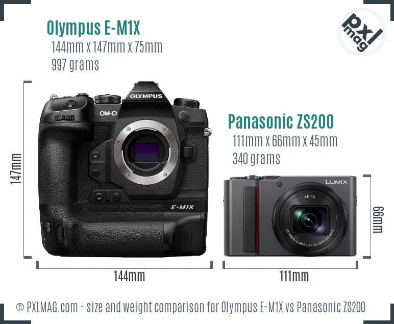 Olympus E-M1X vs Panasonic ZS200 size comparison