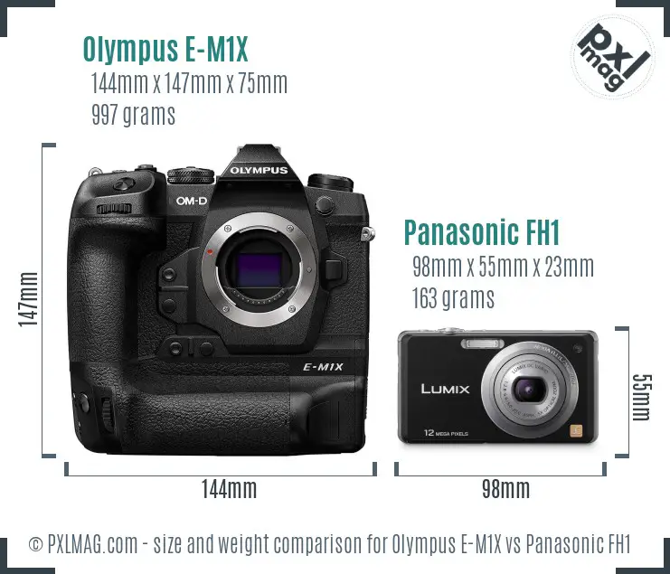 Olympus E-M1X vs Panasonic FH1 size comparison
