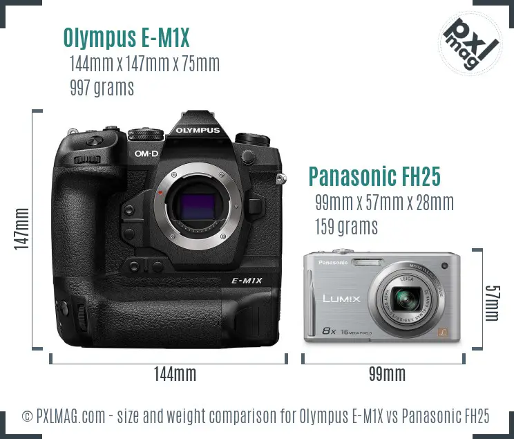 Olympus E-M1X vs Panasonic FH25 size comparison