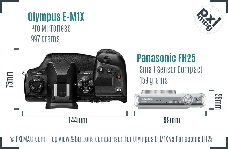 Olympus E-M1X vs Panasonic FH25 top view buttons comparison