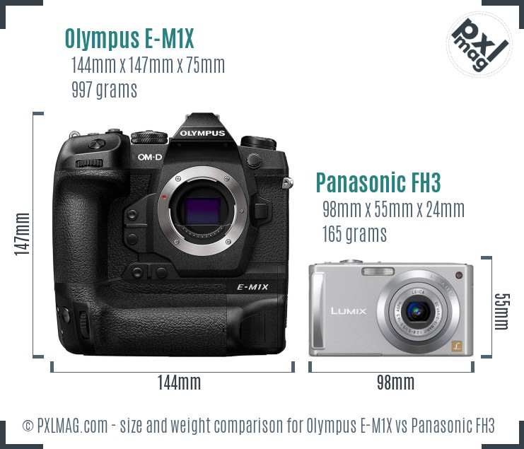 Olympus E-M1X vs Panasonic FH3 size comparison