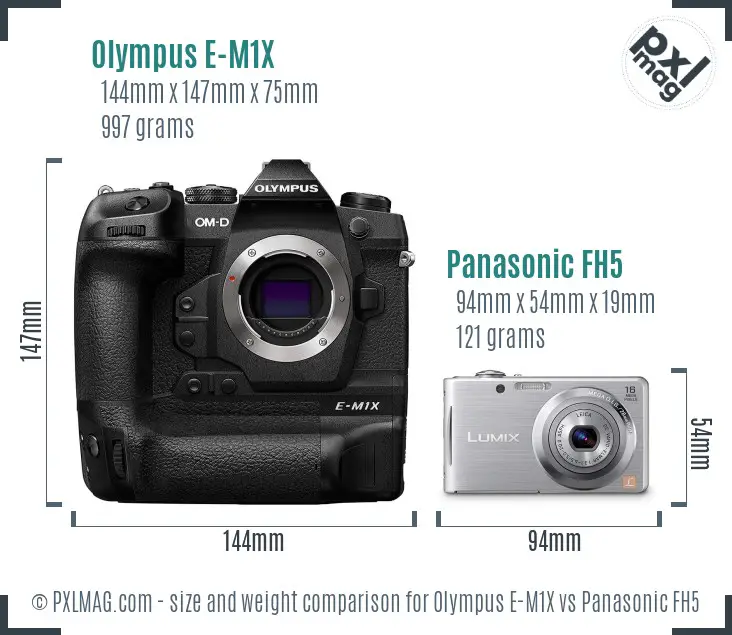 Olympus E-M1X vs Panasonic FH5 size comparison