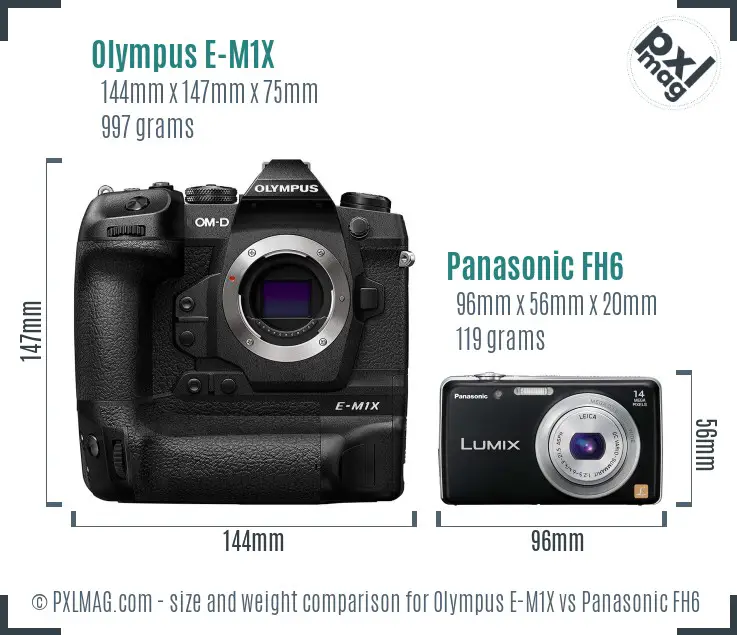 Olympus E-M1X vs Panasonic FH6 size comparison