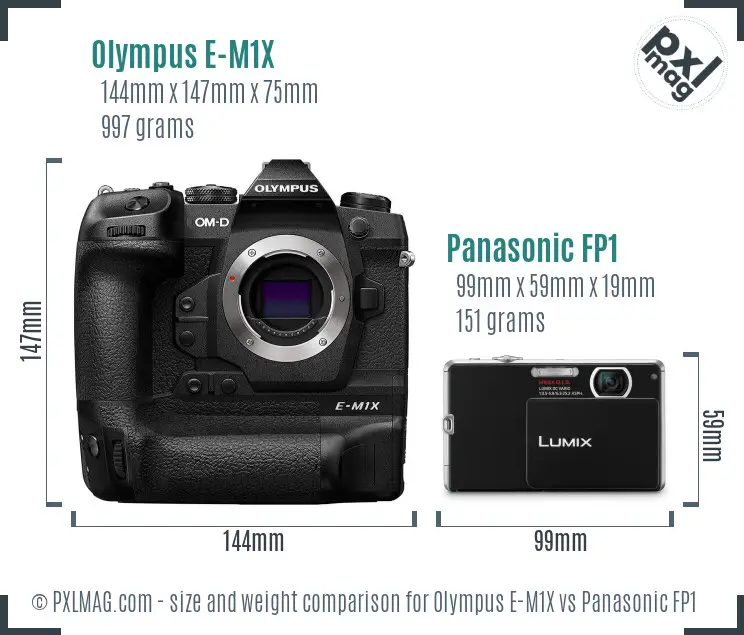 Olympus E-M1X vs Panasonic FP1 size comparison