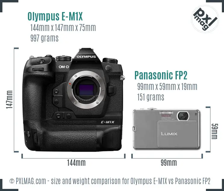 Olympus E-M1X vs Panasonic FP2 size comparison