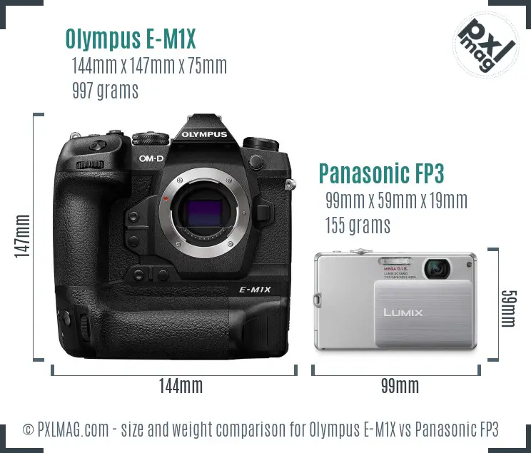 Olympus E-M1X vs Panasonic FP3 size comparison