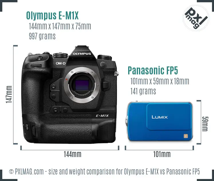 Olympus E-M1X vs Panasonic FP5 size comparison