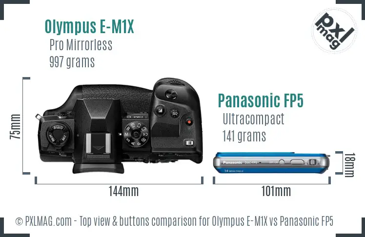 Olympus E-M1X vs Panasonic FP5 top view buttons comparison