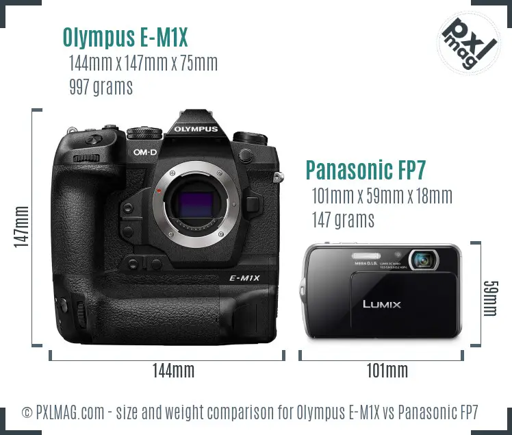 Olympus E-M1X vs Panasonic FP7 size comparison
