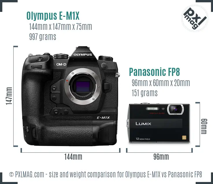 Olympus E-M1X vs Panasonic FP8 size comparison