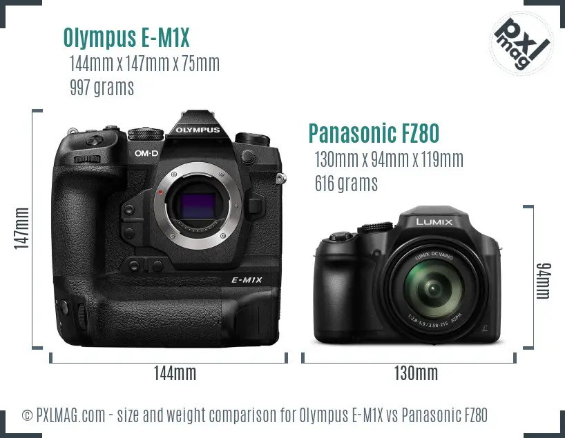 Olympus E-M1X vs Panasonic FZ80 size comparison