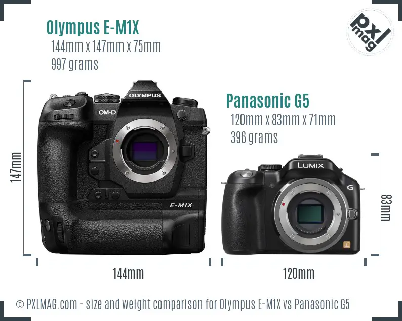 Olympus E-M1X vs Panasonic G5 size comparison