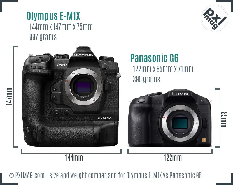 Olympus E-M1X vs Panasonic G6 size comparison