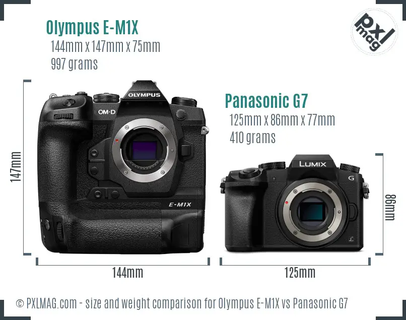 Olympus E-M1X vs Panasonic G7 size comparison