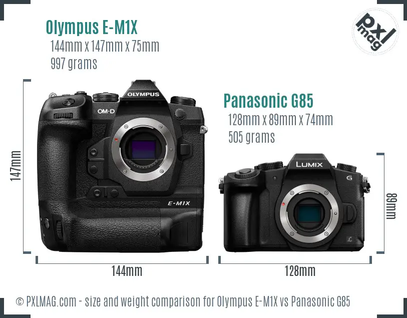 Olympus E-M1X vs Panasonic G85 size comparison