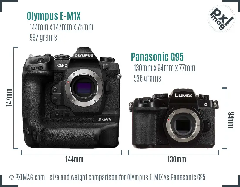 Olympus E-M1X vs Panasonic G95 size comparison