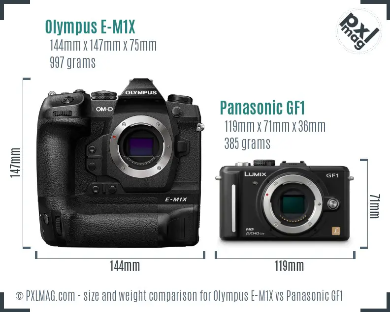 Olympus E-M1X vs Panasonic GF1 size comparison