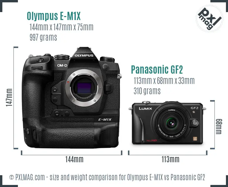 Olympus E-M1X vs Panasonic GF2 size comparison