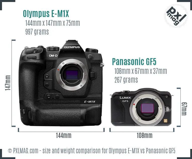 Olympus E-M1X vs Panasonic GF5 size comparison