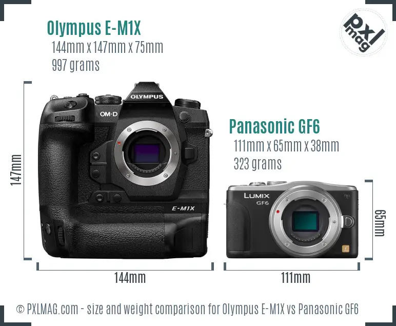 Olympus E-M1X vs Panasonic GF6 size comparison