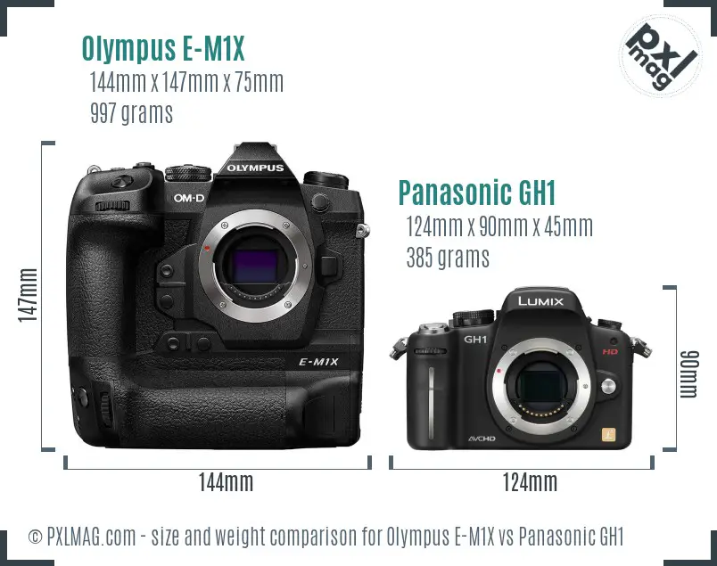 Olympus E-M1X vs Panasonic GH1 size comparison