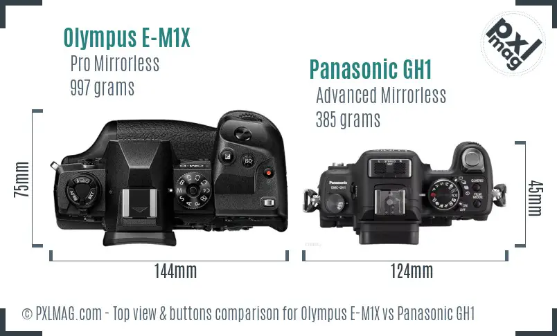 Olympus E-M1X vs Panasonic GH1 top view buttons comparison