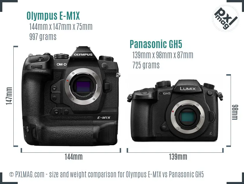 Olympus E-M1X vs Panasonic GH5 size comparison