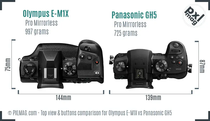Olympus E-M1X vs Panasonic GH5 top view buttons comparison