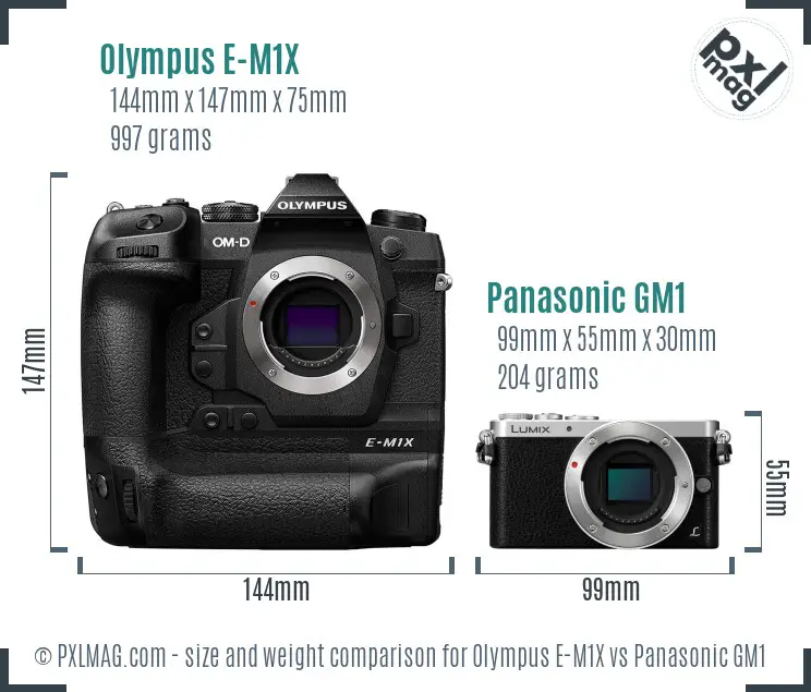 Olympus E-M1X vs Panasonic GM1 size comparison