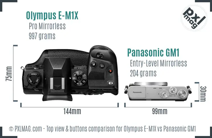 Olympus E-M1X vs Panasonic GM1 top view buttons comparison