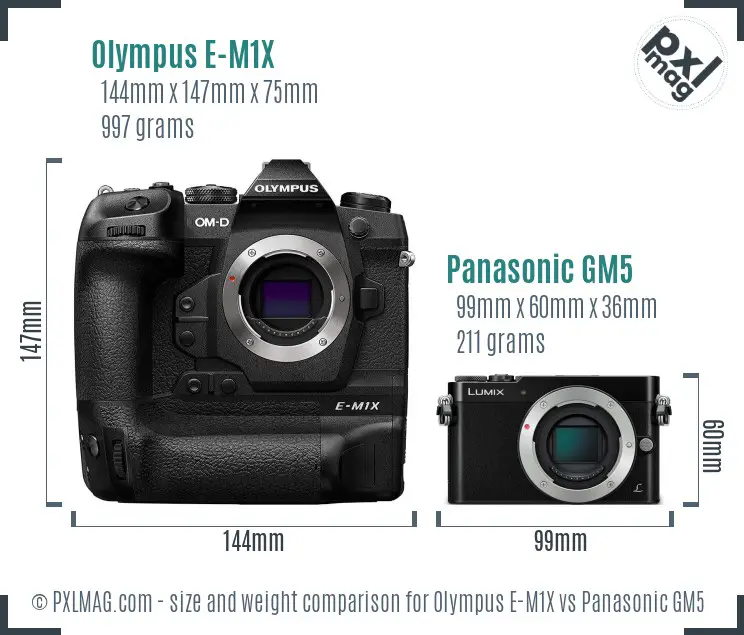 Olympus E-M1X vs Panasonic GM5 size comparison