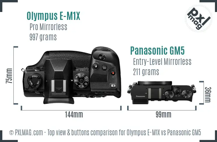 Olympus E-M1X vs Panasonic GM5 top view buttons comparison