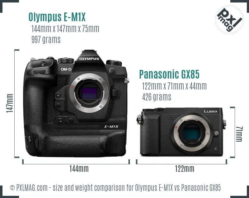 Olympus E-M1X vs Panasonic GX85 size comparison