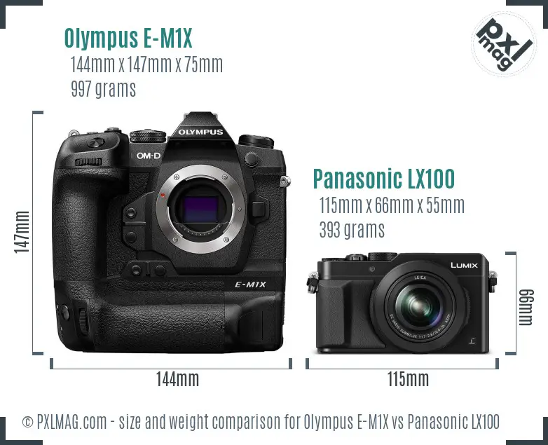 Olympus E-M1X vs Panasonic LX100 size comparison