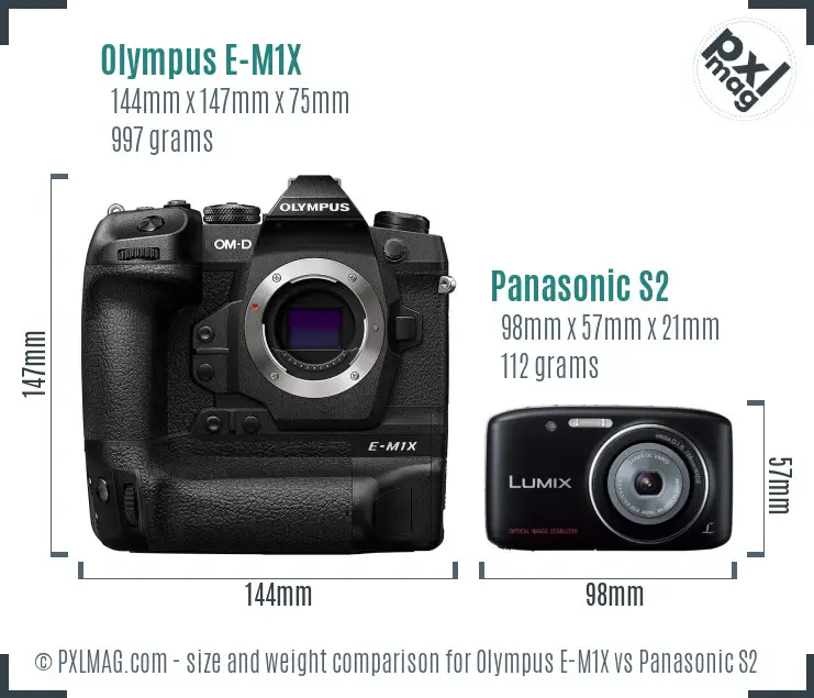 Olympus E-M1X vs Panasonic S2 size comparison