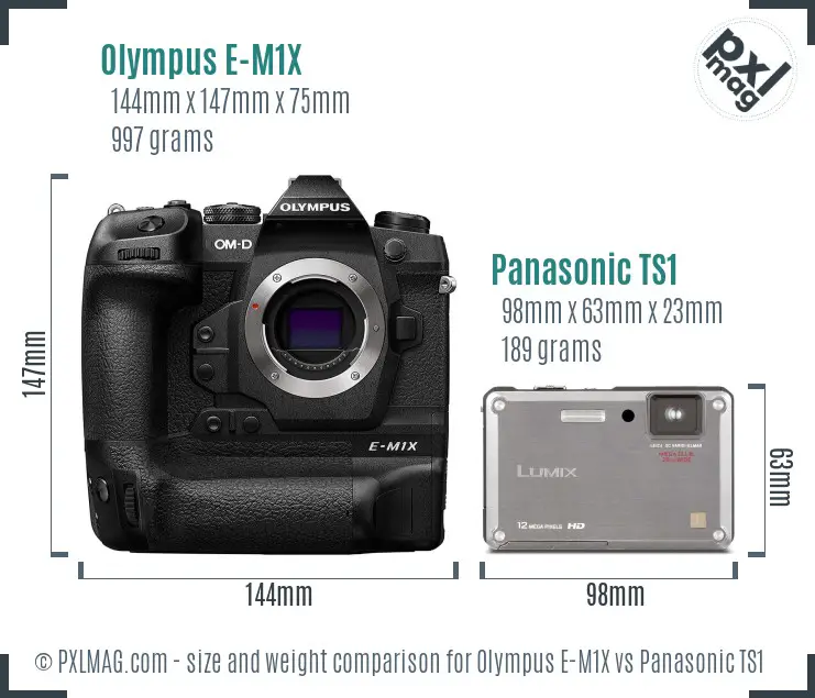 Olympus E-M1X vs Panasonic TS1 size comparison