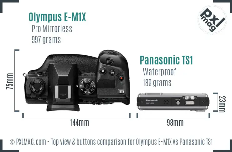Olympus E-M1X vs Panasonic TS1 top view buttons comparison