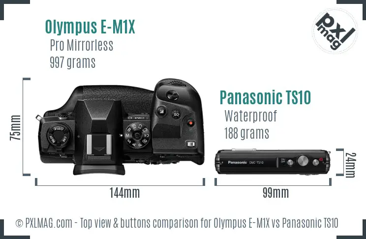 Olympus E-M1X vs Panasonic TS10 top view buttons comparison