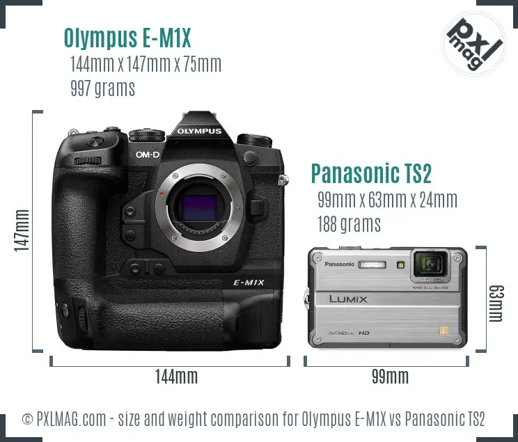 Olympus E-M1X vs Panasonic TS2 size comparison