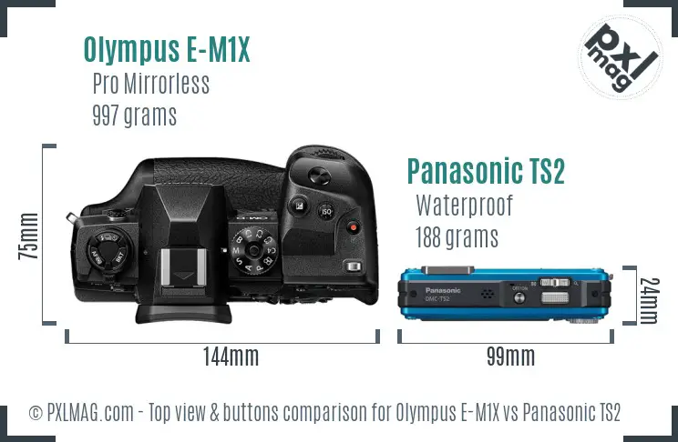 Olympus E-M1X vs Panasonic TS2 top view buttons comparison