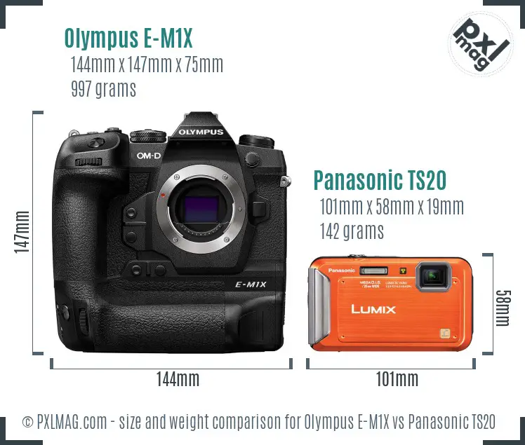 Olympus E-M1X vs Panasonic TS20 size comparison