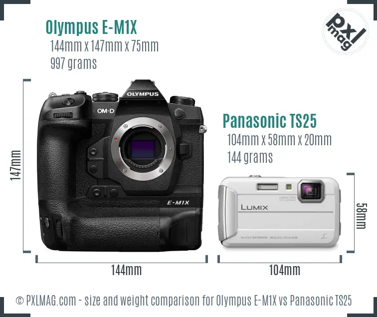 Olympus E-M1X vs Panasonic TS25 size comparison