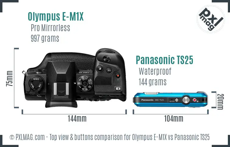 Olympus E-M1X vs Panasonic TS25 top view buttons comparison