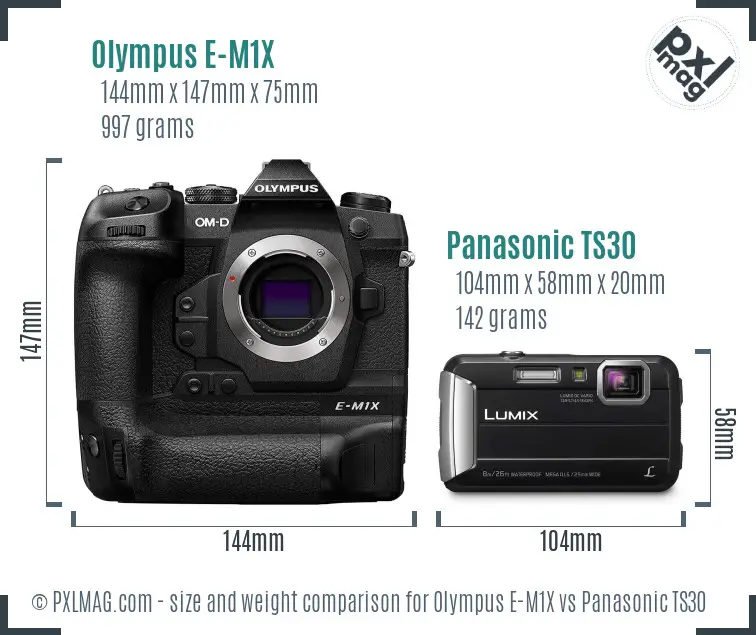 Olympus E-M1X vs Panasonic TS30 size comparison