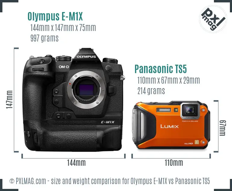 Olympus E-M1X vs Panasonic TS5 size comparison