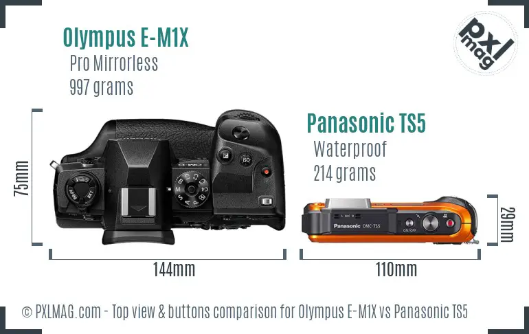 Olympus E-M1X vs Panasonic TS5 top view buttons comparison