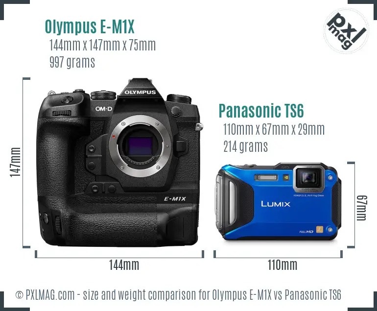 Olympus E-M1X vs Panasonic TS6 size comparison