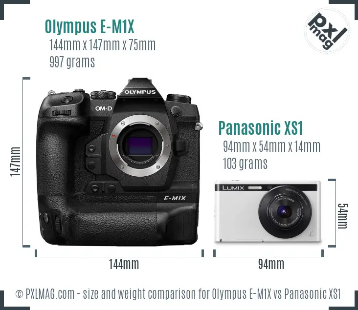 Olympus E-M1X vs Panasonic XS1 size comparison