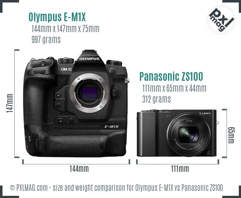 Olympus E-M1X vs Panasonic ZS100 size comparison